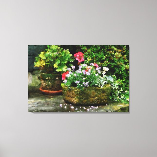 Lienzo Geranios y flores de lavanda (Anverso)