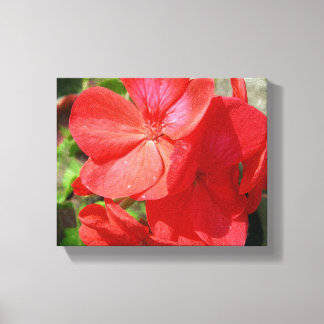 Lienzo Geranium