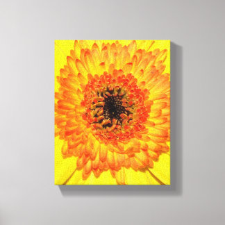 Lienzo Gerber Daisy