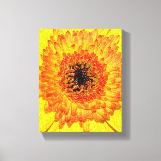 Lienzo Gerber Daisy (Anverso)