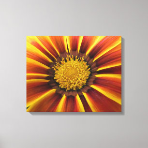 Lienzo Gerber Daisy Up Close and Personal Canvas