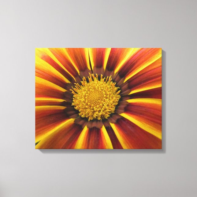 Lienzo Gerber Daisy Up Close and Personal Canvas (Anverso)