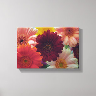 Lienzo Gerbera Daisy Flower Photo Canvas Wall Art Imprimi