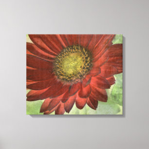 Lienzo Gerbera rojo