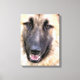 LIENZO GERMAN SHEPHERD