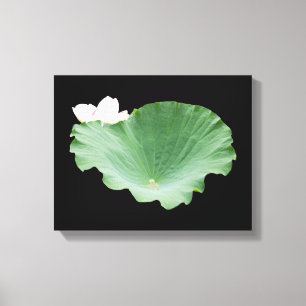 Lienzo Giant Lotus Leaf con Bloom