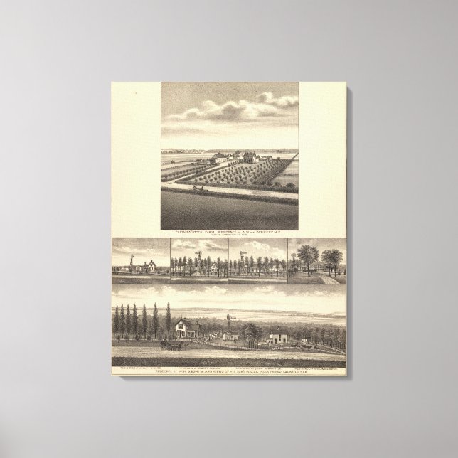 Lienzo Gibson Nebraska (Anverso)