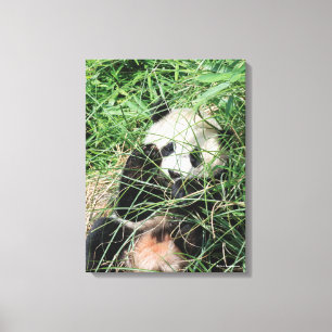 Lienzo Gigante Panda Escondiéndose En La Hierba