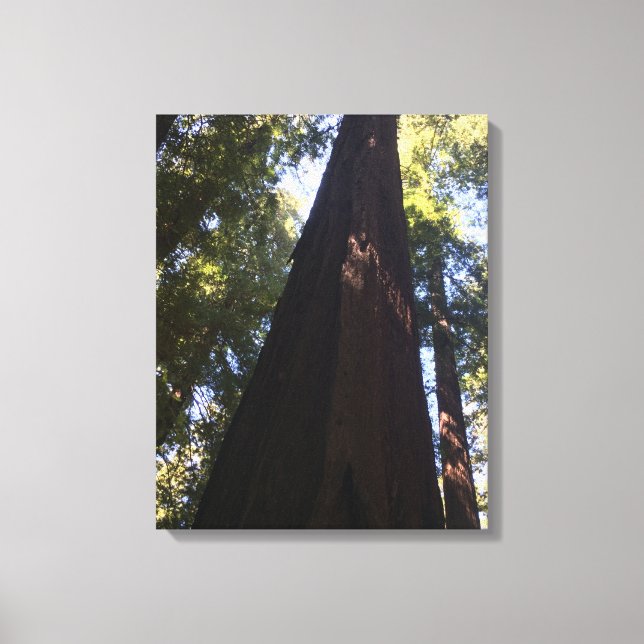 Lienzo Gigantes Bosques Rojos (Anverso)