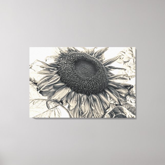 Lienzo Gigantes girasoles Vintage Sepia Decoupage Art (Anverso)