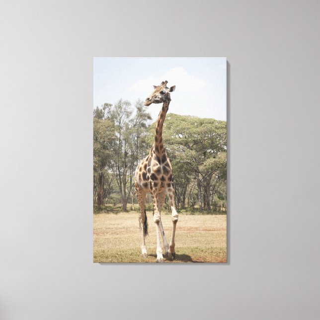 Lienzo Giraffe 3 (Anverso)