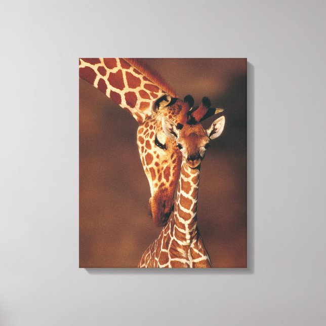 Lienzo Giraffe de adultos con ternera (Giraffa camelopard (Anverso)