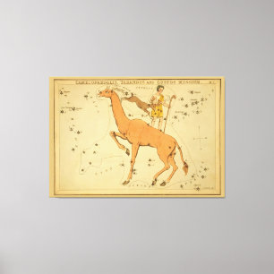 Lienzo Giraffe - Imagen de una estrella astronómica vinta