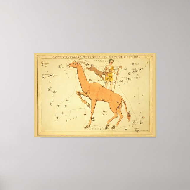 Lienzo Giraffe - Imagen de una estrella astronómica vinta (Anverso)