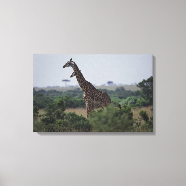 Lienzo Giraffes en África (Anverso)