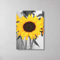 Girasol