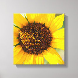 Lienzo Girasol