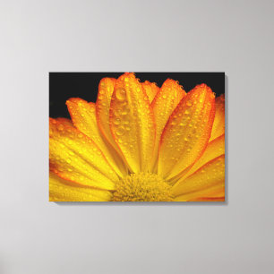 Lienzo Girasol