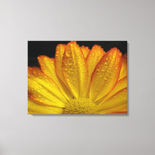 Lienzo Girasol (Anverso)