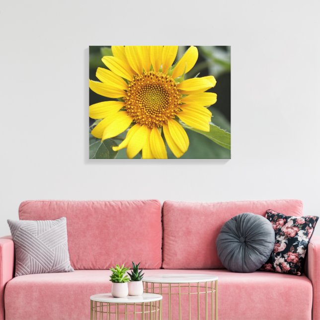 Lienzo Girasol amarillo bonito 20" x 16" (Insitu (Sala de estar))
