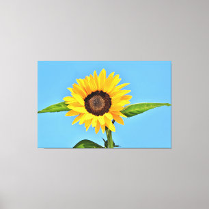 Lienzo Girasol amarillo contra el sol en el cielo azul - 