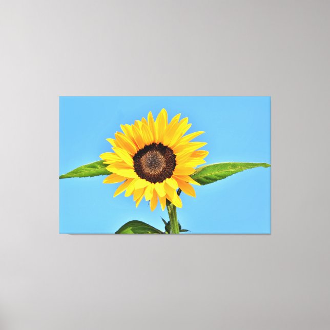 Lienzo Girasol amarillo contra el sol en el cielo azul -  (Anverso)