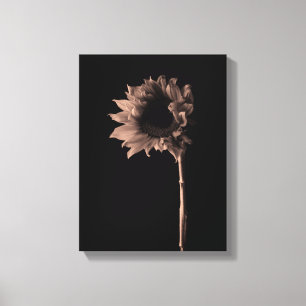 Lienzo Girasol - Bella Artes de Sepia Fotografía única de