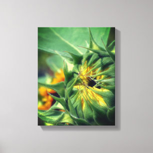 Lienzo Girasol Desplegando Floral
