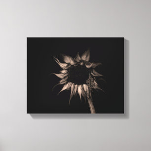 Lienzo Girasol en Bella Artes de Sepia Fotografía única d