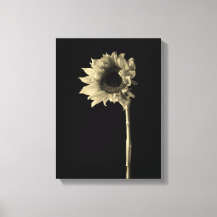 Lienzo Girasol - Fotografía monocroma Bella Artes