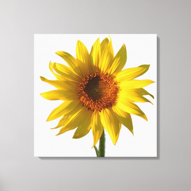 Lienzo Girasol Sunshine (Anverso)