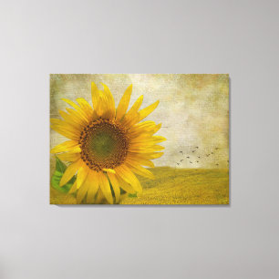 Lienzo Girasol único en el pasto de girasol