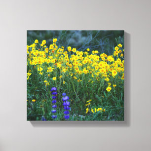 Lienzo Girasol y lavanda