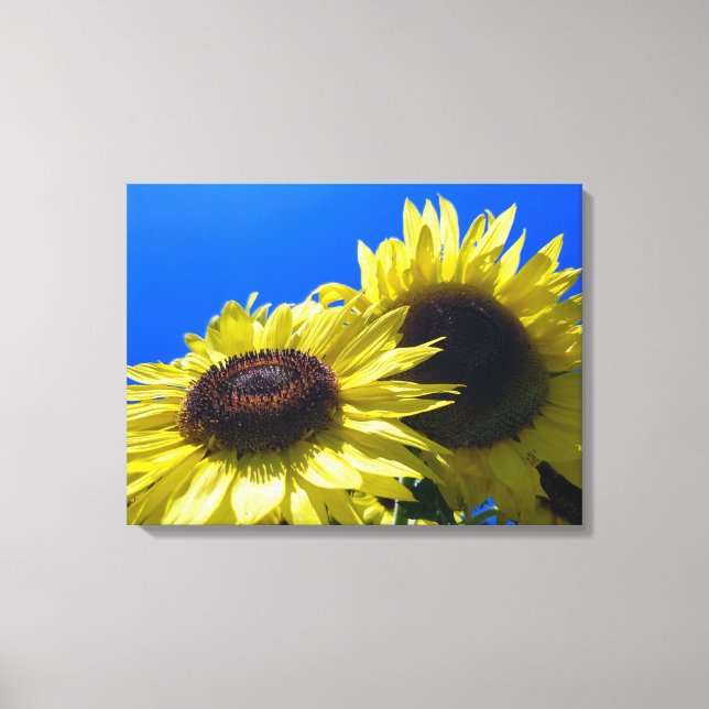 Lienzo Girasoles Moonwalker que alcanzan el cielo (Anverso)