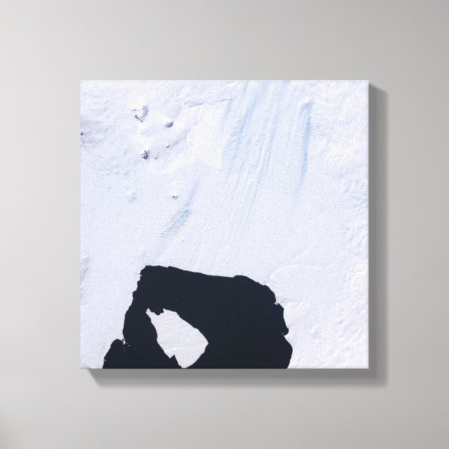 Lienzo Glaciar de la Isla Pine (Anverso)