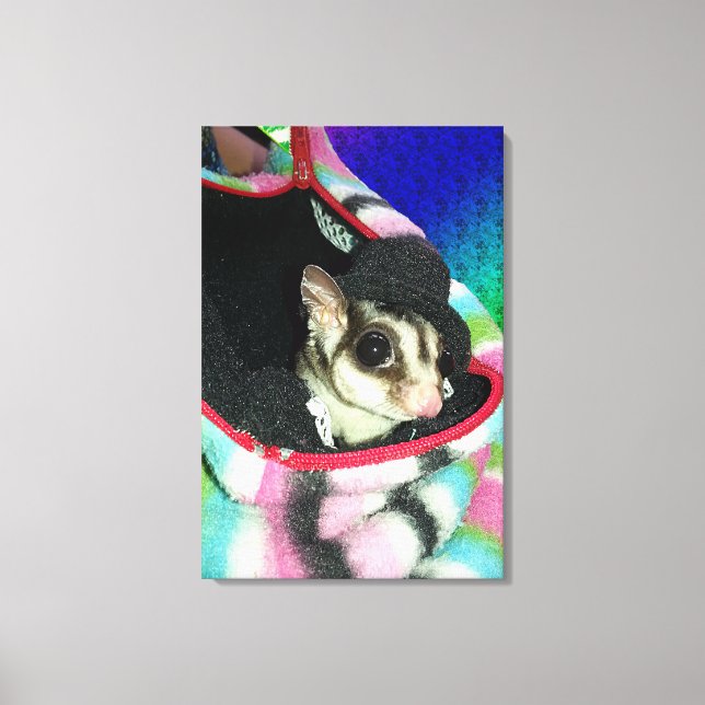 Lienzo Glider azucarero usando un Gorra (Anverso)