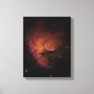 Lienzo Globales de libro en NGC 281