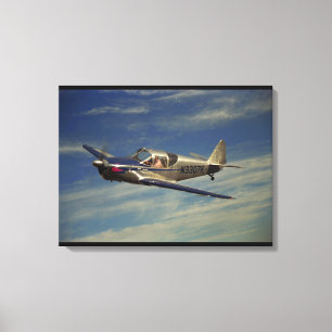 Lienzo Globe, Swift 1946_Classic Aviation