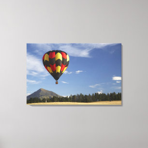 Lienzo Globo aerostático cerca de Wanaka, Isla Sur, Nueva