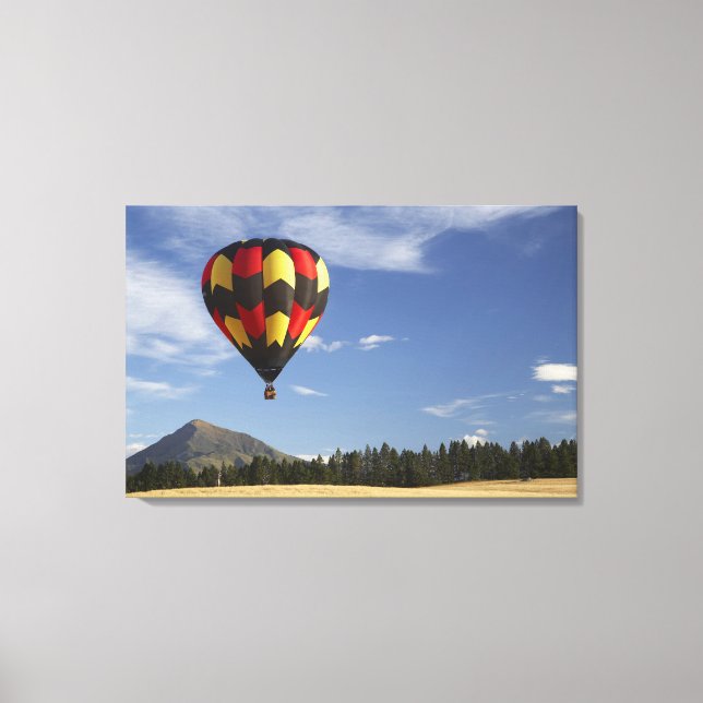 Lienzo Globo aerostático cerca de Wanaka, Isla Sur, Nueva (Anverso)