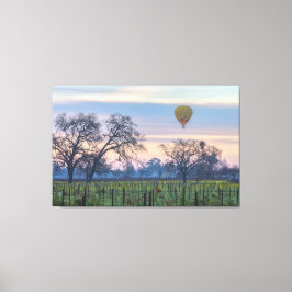 Lienzo Globo de aire sobre viñedos