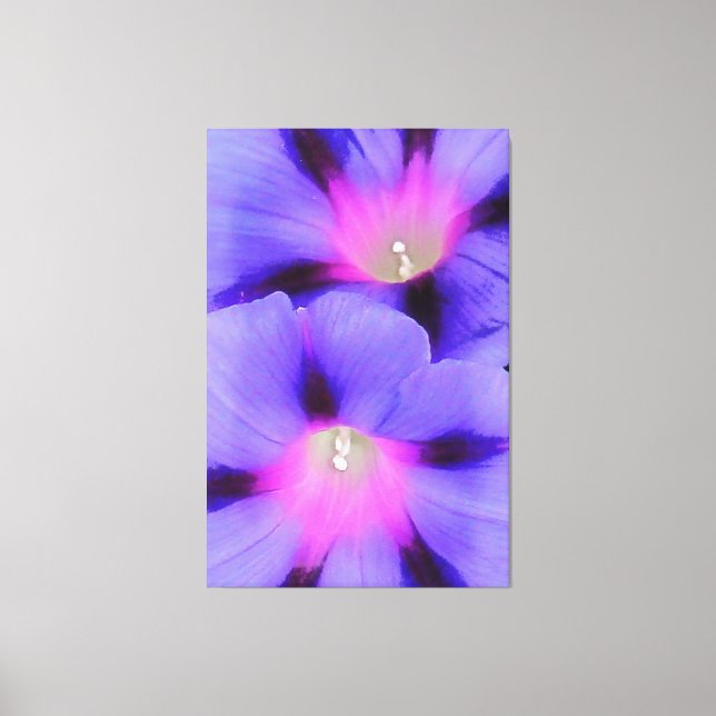 Lienzo Gloria artística morada morada y rosa (Anverso)