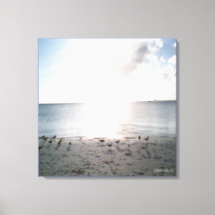 Lienzo Gloria del Sol en la Playa