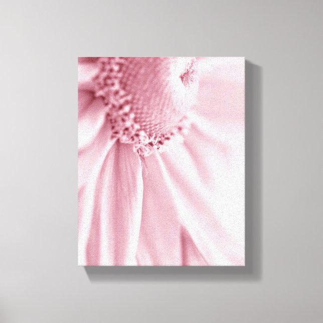 Lienzo Gloriosa Daisy Macro (Anverso)