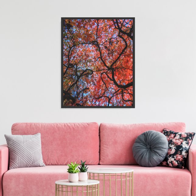 Lienzo Gnarly Otumn Japanese Maple Branches (Insitu (Sala de estar))