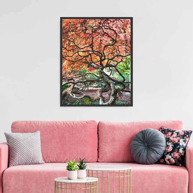 Lienzo Gnarly Twisted Japanese Maple Tree (Insitu (Sala de estar))