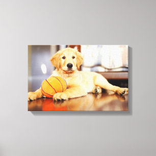 Lienzo Golden Retriever Con Juguete De Baloncesto