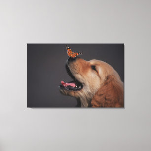 Lienzo Golden Retriever Con Mariposa En La Nariz