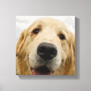 Lienzo Golden retriever feliz