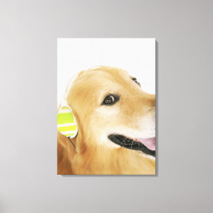 Lienzo Golden retriever que escucha la música